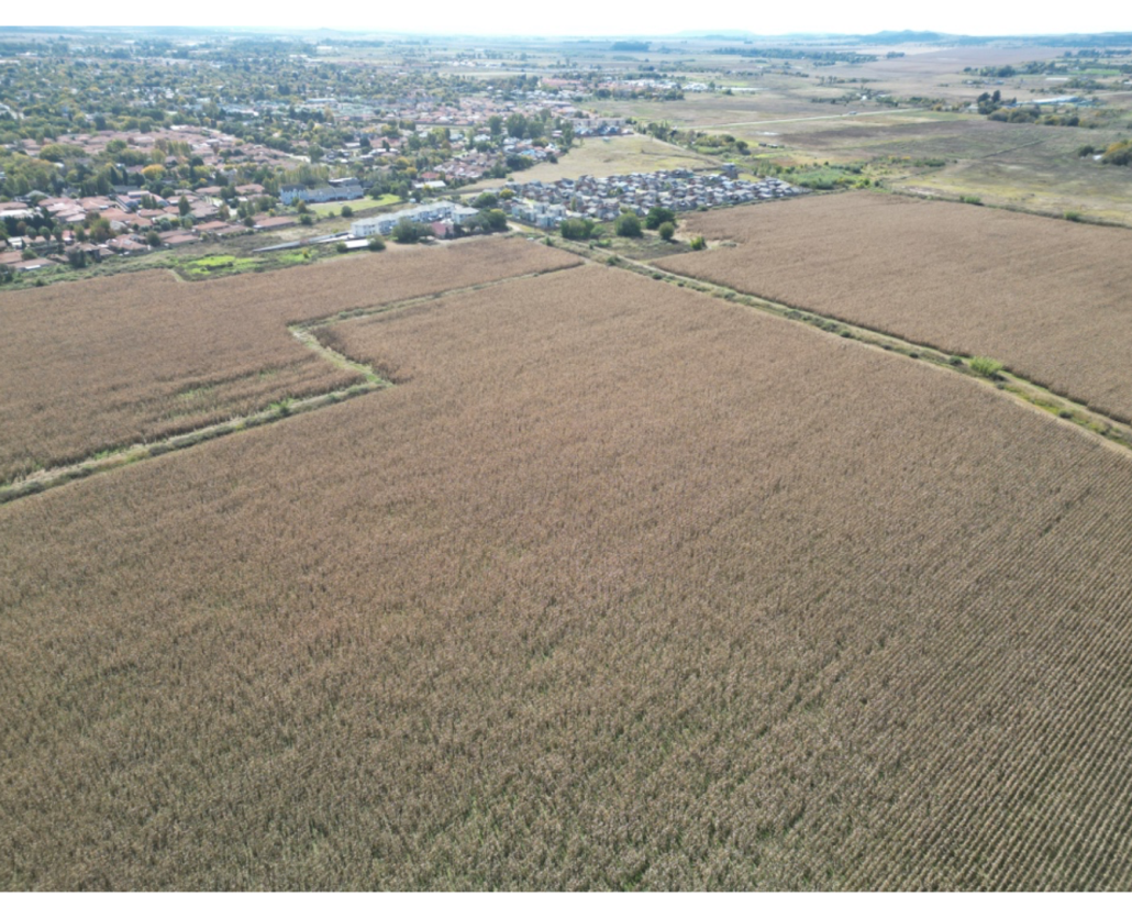 PROPOSED GRIMBEEK TOWNSHIP ESTABLISHMENT ON THE REMAINING EXTENT OF PORTION 46 AND PORTION 58 & 59 OF THE FARM ELANDSHEUVEL 436 IQ IN THE GRIMBEEK PARK AREA